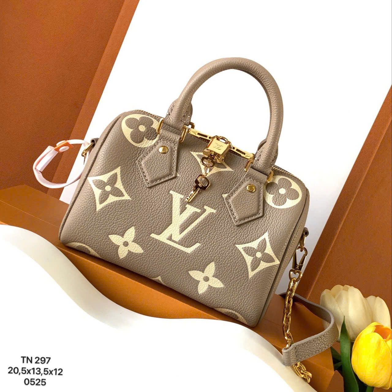 Túi Nữ Louis Vuitton - TNTT233