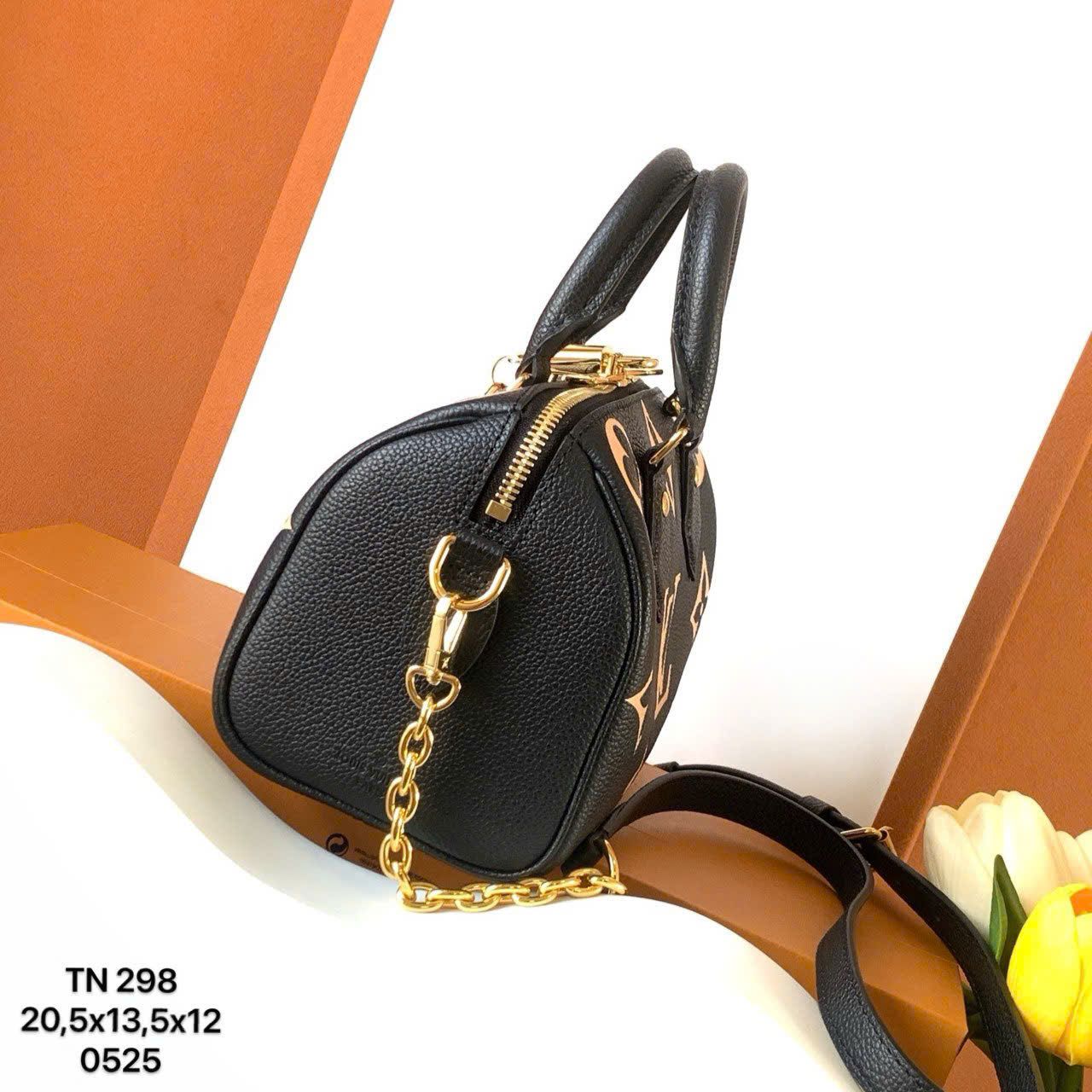 Túi Nữ Louis Vuitton - TNTT234