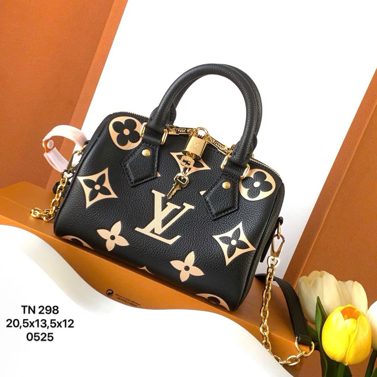 Túi Nữ Louis Vuitton - TNTT234