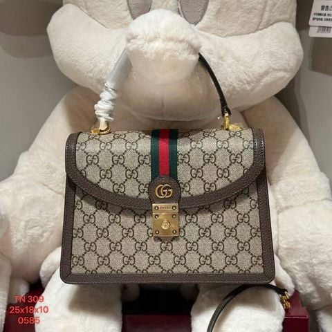 Túi Nữ Gucci - TNTT239