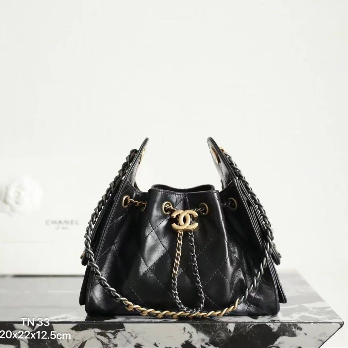 Túi Nữ Chanel - TNTT254