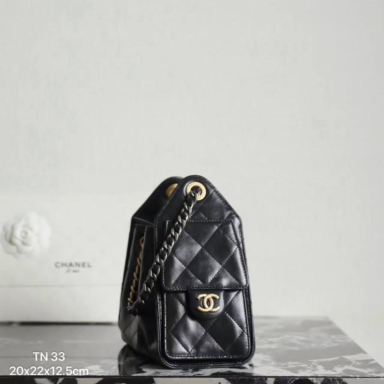 Túi Nữ Chanel - TNTT254