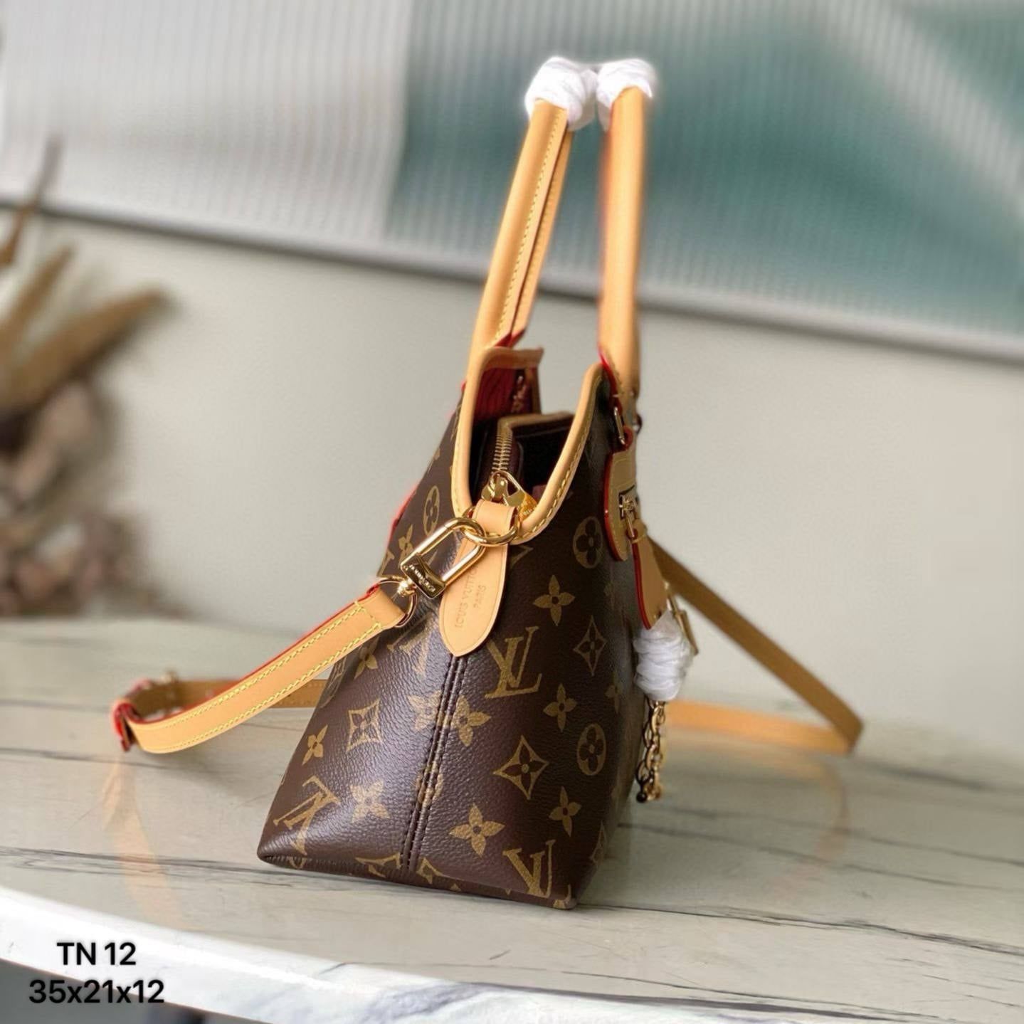 Túi Nữ Louis Vuitton - TNTT265
