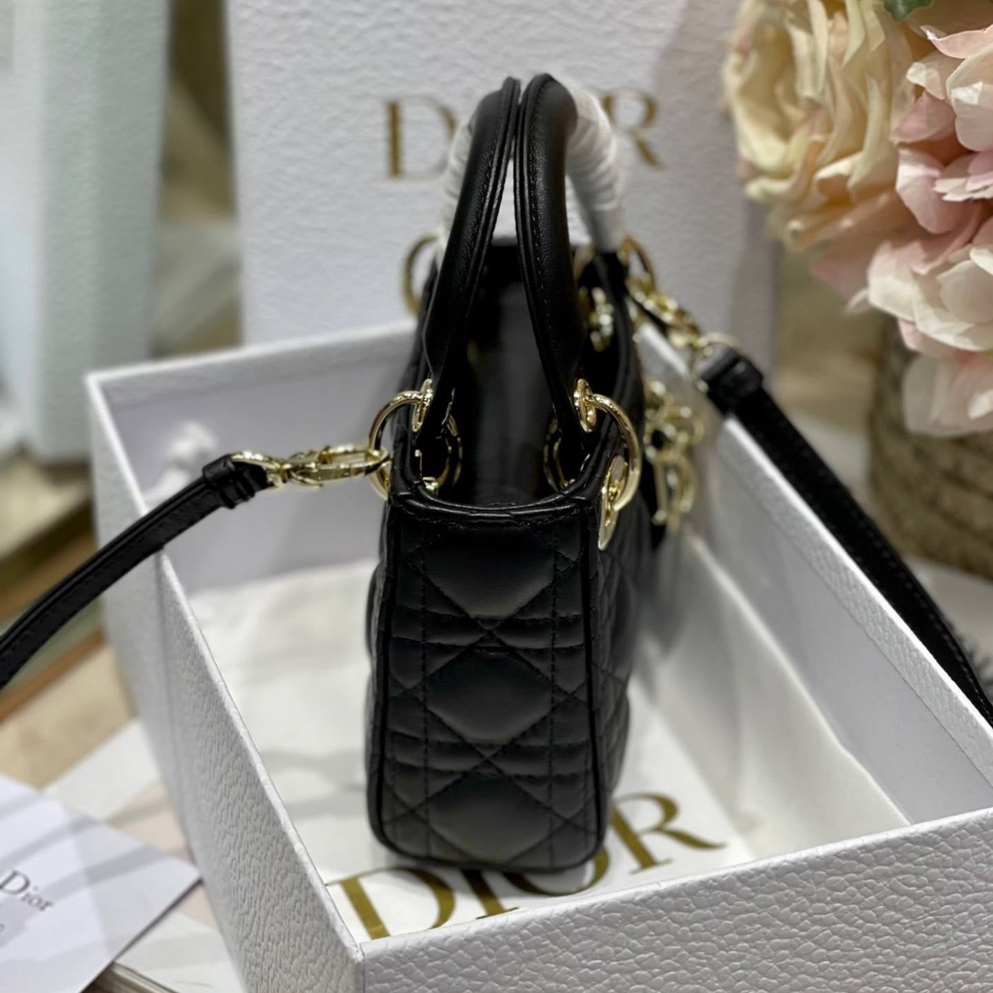 Túi Nữ Dior - TNTT262