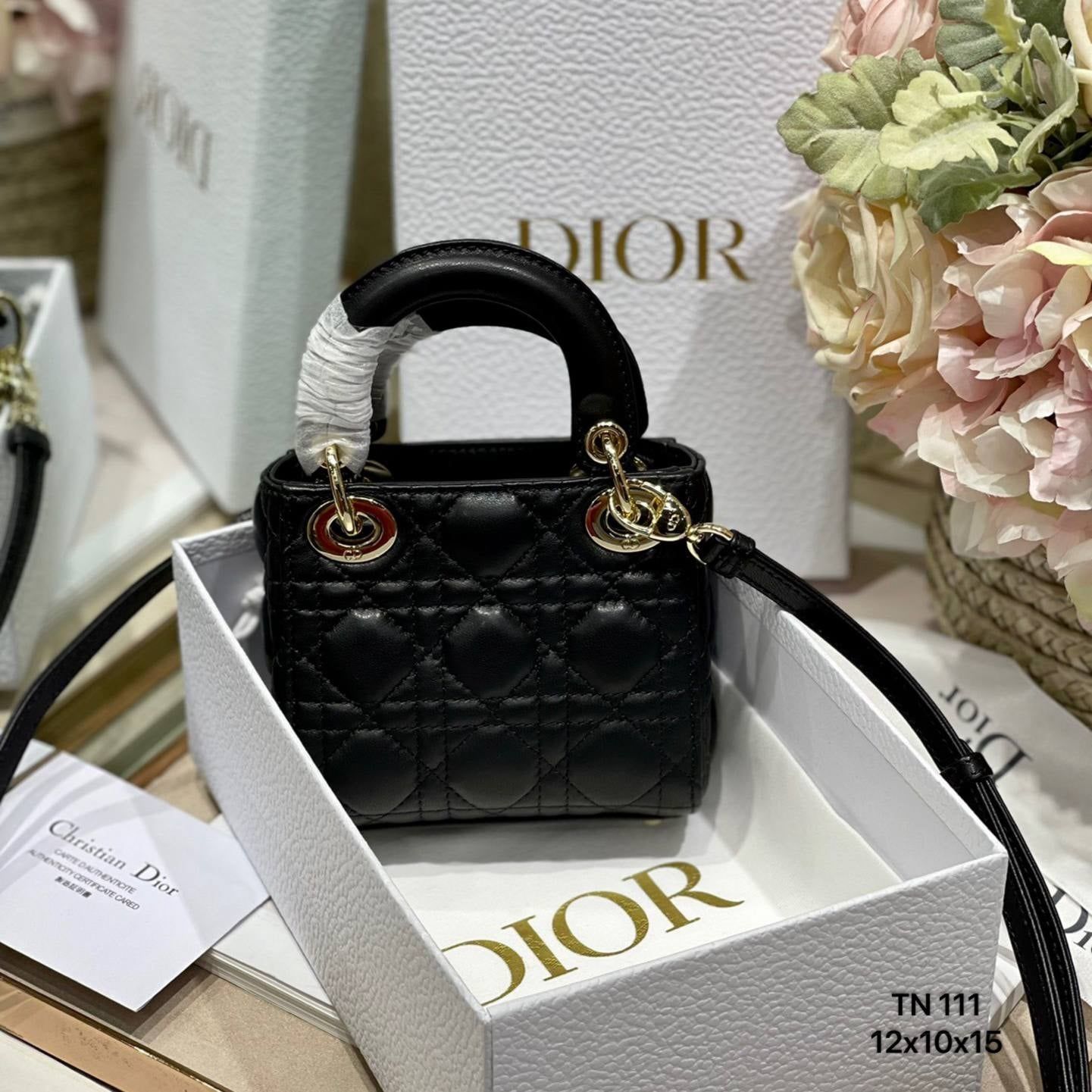 Túi Nữ Dior - TNTT262