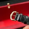 CARTIER SANTOS DUMONT 27 MM - Đồng Hồ Cartier - Nữ - DHTT651