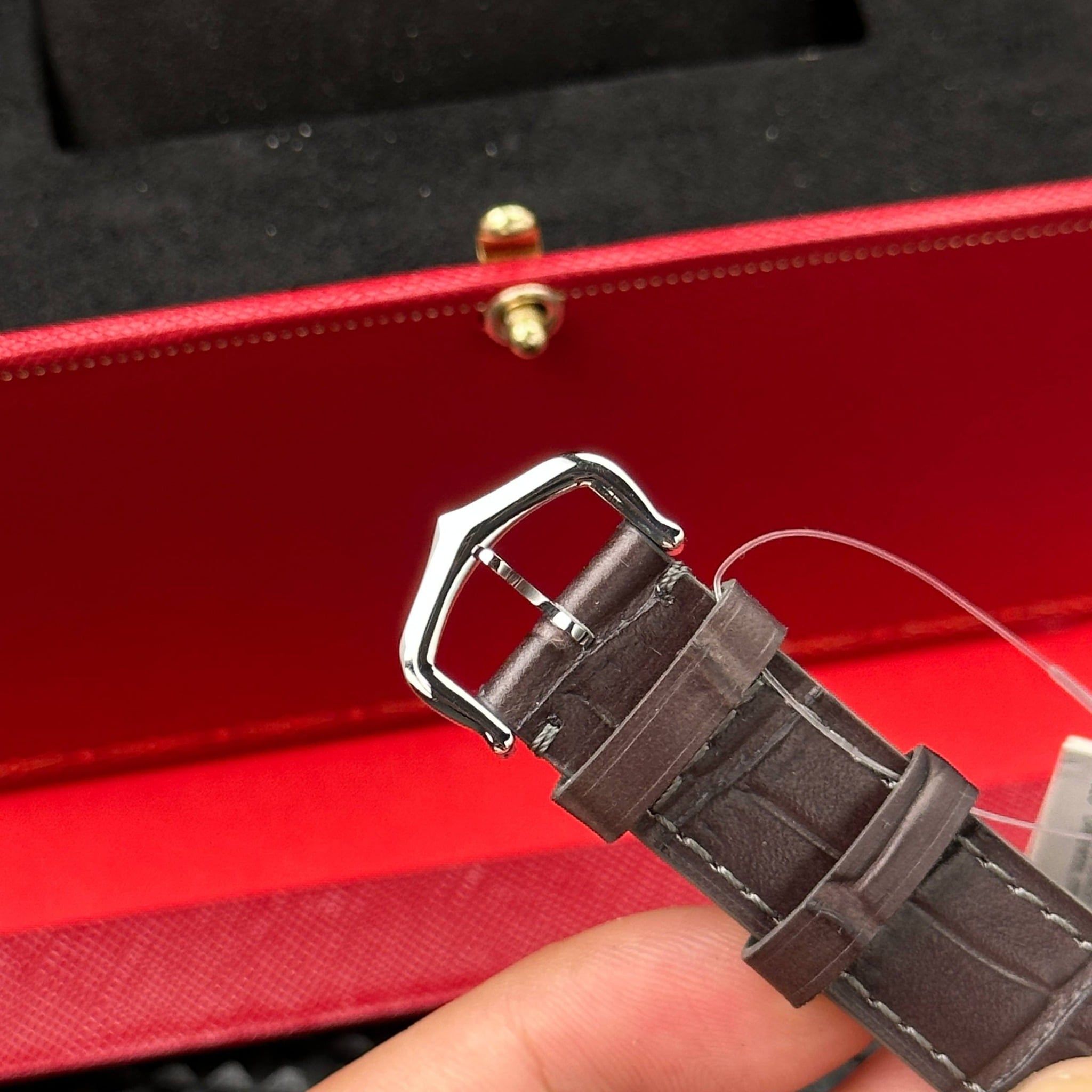 CARTIER SANTOS DUMONT 31 MM - Đồng Hồ Cartier - Nam - DHNTT1369