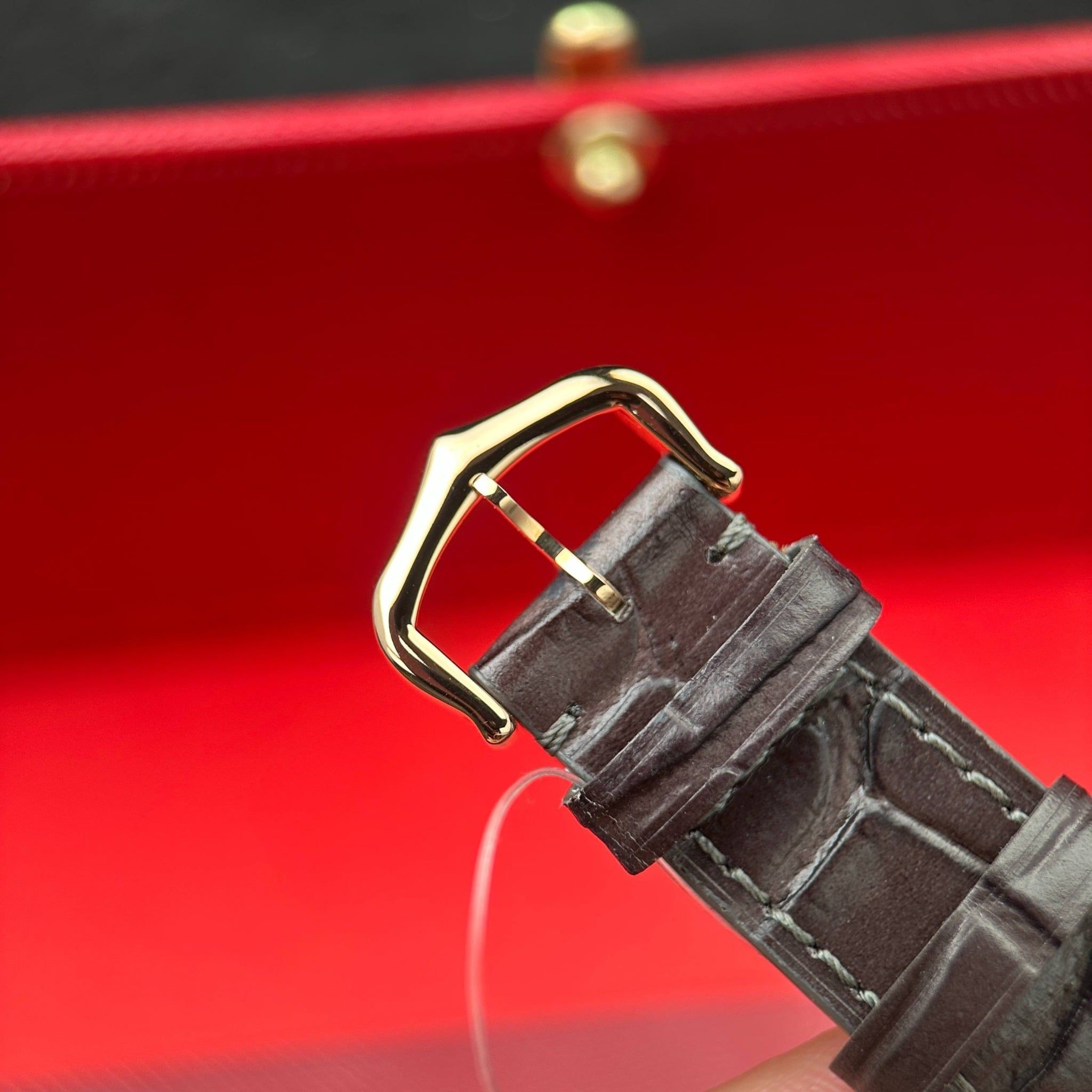 CARTIER SANTOS DUMONT 31 MM - Đồng Hồ Cartier - Nam - DHNTT1386