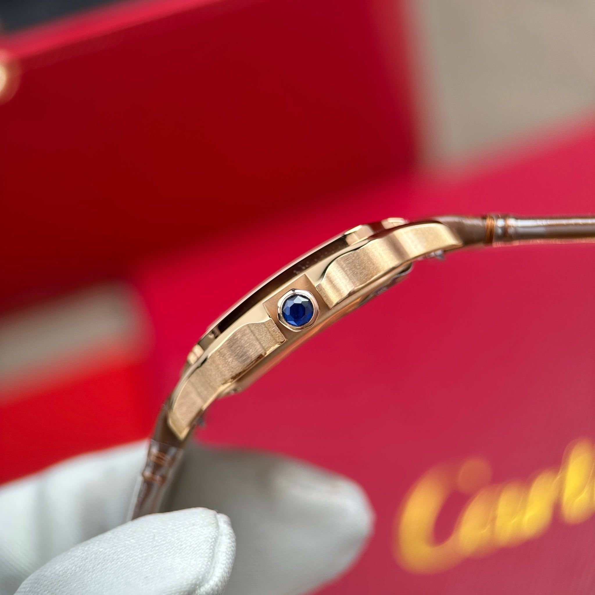 CARTIER SANTOS DE 27 MM - Đồng Hồ Cartier - Nữ - DHTT506