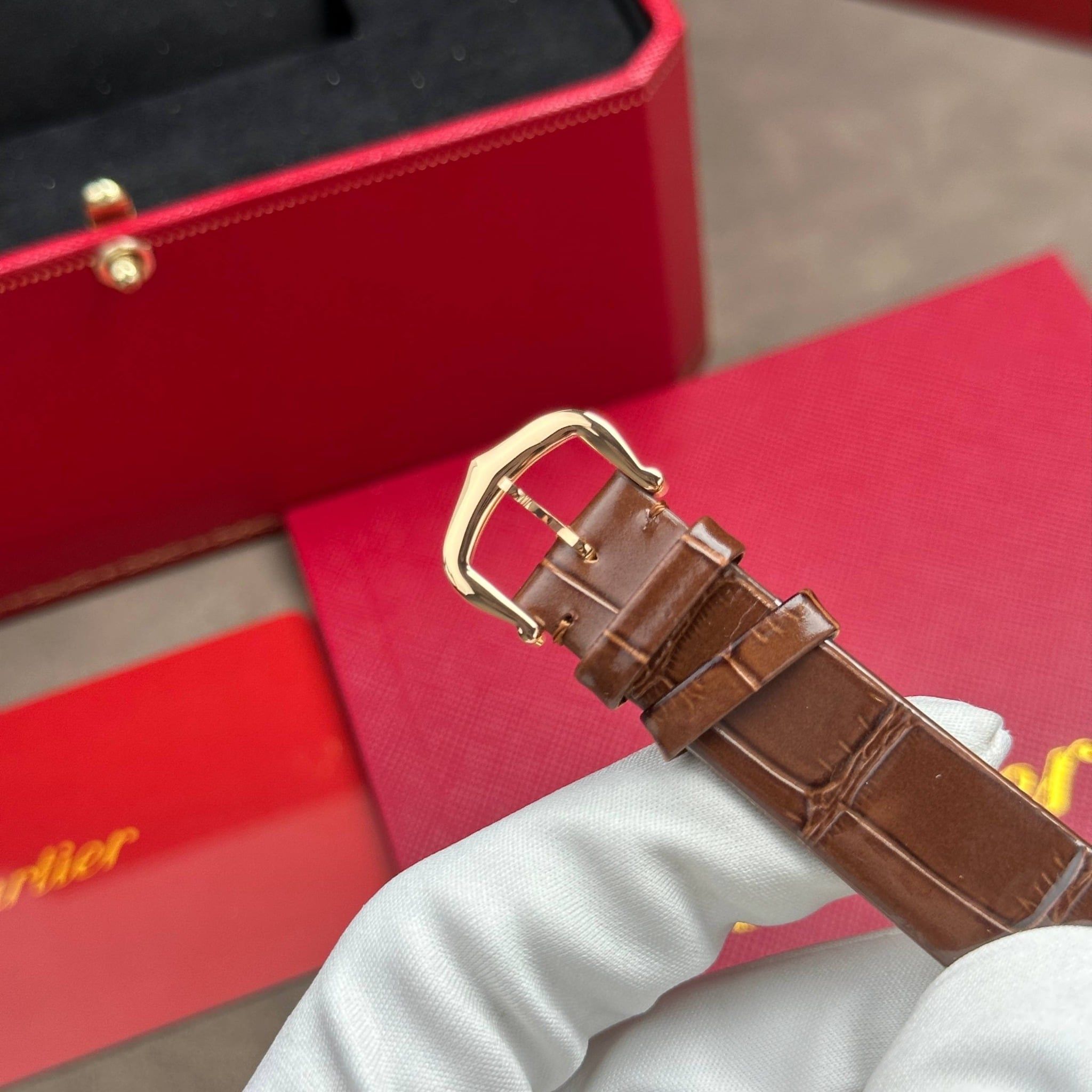 CARTIER SANTOS DE 27 MM - Đồng Hồ Cartier - Nữ - DHTT506