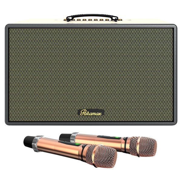 Loa Karaoke Di Động Paramax Saga