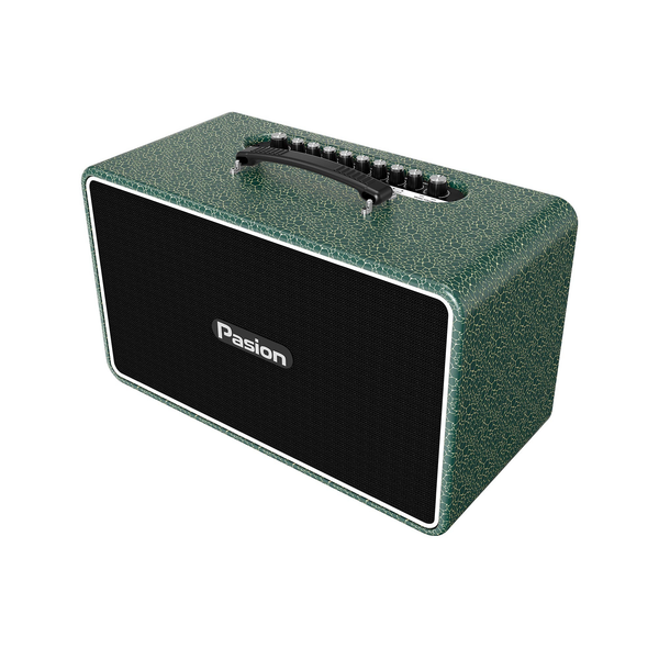 PARAMAX PASION ARTE Loa Karaoke Xách Tay