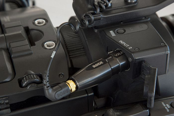 Jack Chuyển Đổi RODE Adapter VXLR+ Chính Hãng