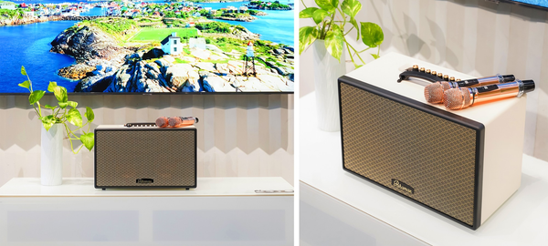 Loa Karaoke Di Động Paramax Aura