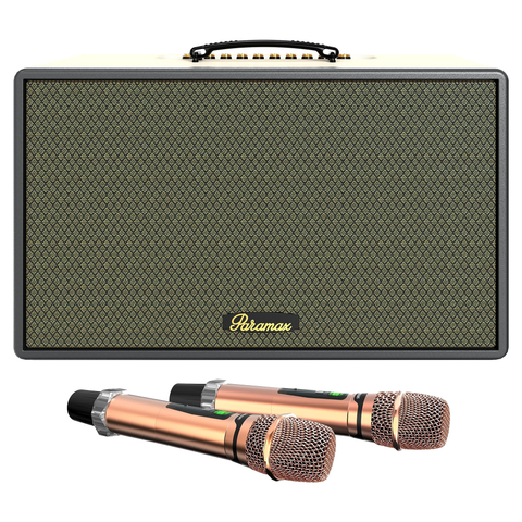 Loa Karaoke Di Động Paramax Aura