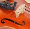 Giá Kẹp Micro Đàn Violin RODE Violin Clip