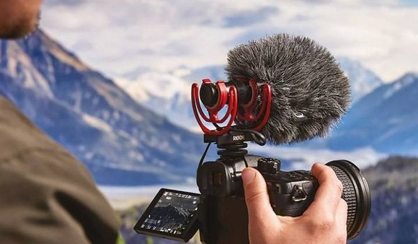Lông Chắn Gió RODE WS12 Cho VideoMic GO II