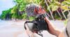 Lông Chắn Gió RODE WS12 Cho VideoMic GO II
