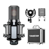 Combo Fender Quantum LT2 & Takstar K850