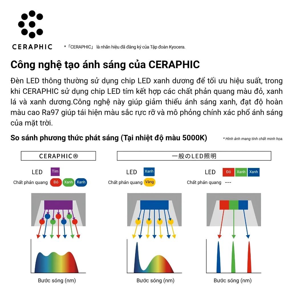  Đèn Thả Trồng Cây Green Lighting MotoM MPN070 – Tích Hợp 3 Chậu Cây, Kèm Bóng LED Filament 7W (Đen/Trắng) 