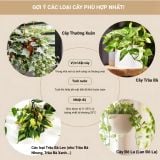  Đèn Thả Trồng Cây Green Lighting MotoM MPN070 – Tích Hợp 3 Chậu Cây, Kèm Bóng LED Filament 7W (Đen/Trắng) 