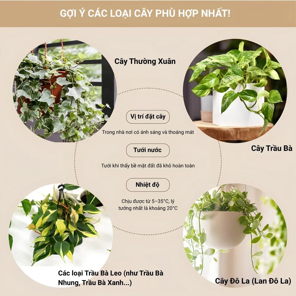  Đèn Thả Trồng Cây Green Lighting MotoM MPN069B (Màu Đen) – Tích Hợp 3 Chậu Cây, Đui E26 Tùy Chọn LED 