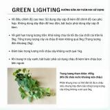  Đèn Thả Trồng Cây Green Lighting MotoM MPN070 – Tích Hợp 3 Chậu Cây, Kèm Bóng LED Filament 7W (Đen/Trắng) 