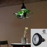  Đèn Thả Trồng Cây Green Lighting MotoM MPN069B (Màu Đen) – Tích Hợp 3 Chậu Cây, Đui E26 Tùy Chọn LED 