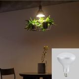  Đèn Thả Trồng Cây Green Lighting MotoM MPN069B (Màu Đen) – Tích Hợp 3 Chậu Cây, Đui E26 Tùy Chọn LED 