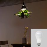  Đèn Thả Trồng Cây Green Lighting MotoM MPN069B (Màu Đen) – Tích Hợp 3 Chậu Cây, Đui E26 Tùy Chọn LED 
