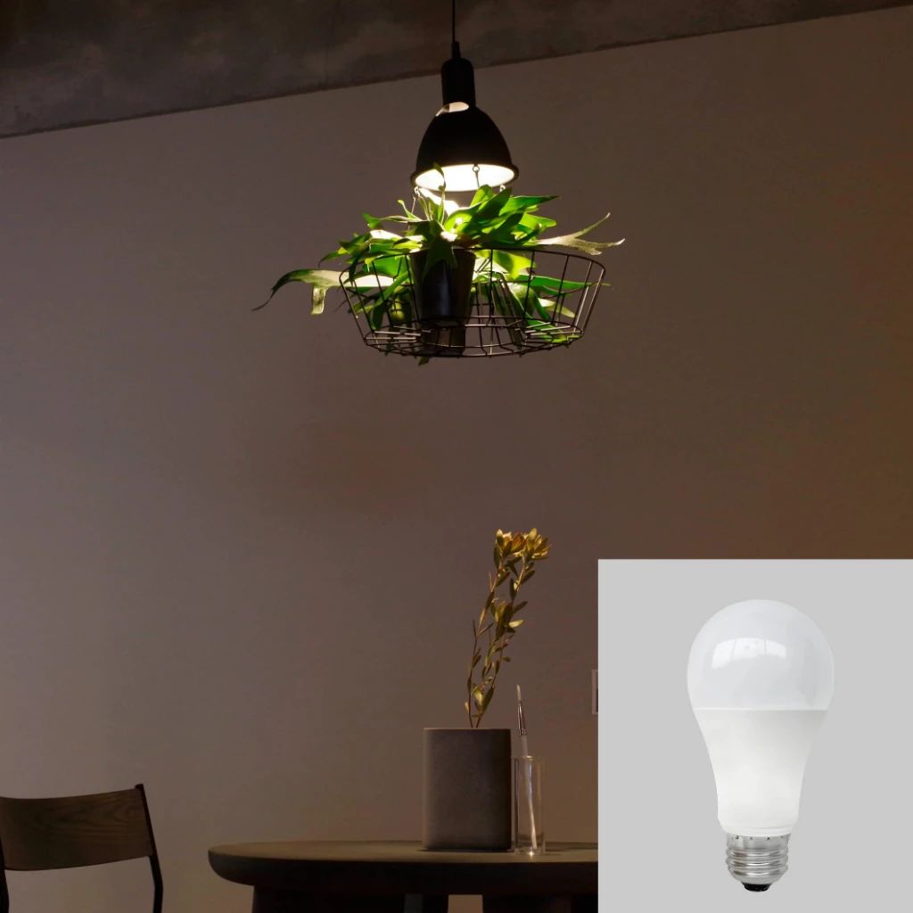  Đèn Thả Trồng Cây Green Lighting MotoM MPN069B (Màu Đen) – Tích Hợp 3 Chậu Cây, Đui E26 Tùy Chọn LED 