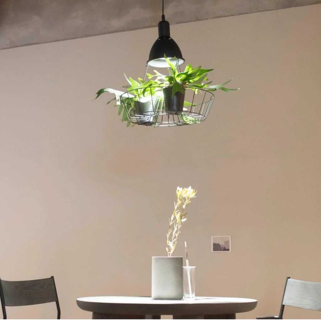 Den tha tran ket hop trong cay Green Lighting MotoM MPN069B mau den Nhat Ban