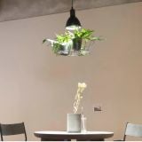  Đèn Thả Trồng Cây Green Lighting MotoM MPN069B (Màu Đen) – Tích Hợp 3 Chậu Cây, Đui E26 Tùy Chọn LED 