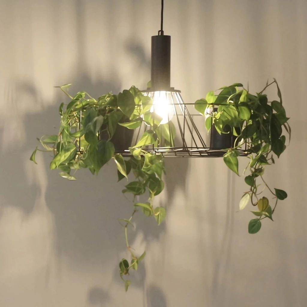 Bo 3 chau boc cay trang tri Green Lighting MotoM OP027 Nhat Ban