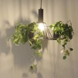  Chậu Cây MotoM Green Lighting OP027 (Kích Thước Φ105mm, Đáy Kín Không Lỗ) 