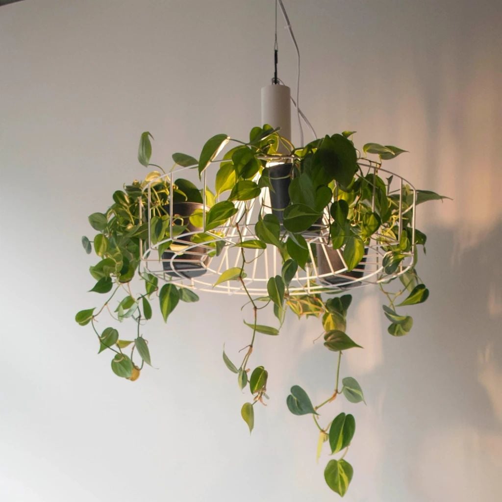 Den tha trang tri Green Lighting MotoM MPN070 tao hieu ung do bong ky dieu ban an