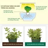  Đèn Trồng Rau Thủy Canh Trong Nhà Akarina05 OMA05 MotoM – Đèn LED Quang Hợp 15W, Khay Trồng 14 Lỗ Rộng Rãi Chuẩn Phong Cách Nhật Bản 