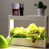  Đèn Trồng Rau Thủy Canh Trong Nhà Bằng Gỗ Tự Nhiên Akarina06 OMA06 MotoM – Chip LED 15W Cao Cấp Chuẩn Phong Cách Nhật Bản 