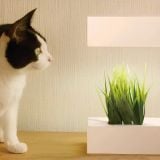  Đèn Trồng Rau Thủy Canh Trong Nhà Dùng Đèn LED Akarina14 OMA14 MotoM – Thiết Kế Chữ C Tối Giản, Hẹn Giờ 16h, Chỉnh 4 Mức Sáng Nhật Bản 
