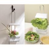  Đèn Trồng Rau Thủy Canh Trong Nhà Dùng Đèn LED Akarina15 OMA15 MotoM – Tích Hợp Hẹn Giờ 16h, Điều Chỉnh 4 Mức Độ Sáng Nhật Bản 