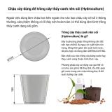  Chậu Cây MotoM Green Lighting OP027 (Kích Thước Φ105mm, Đáy Kín Không Lỗ) 
