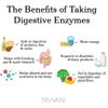Digestive Enzymes tiêu hoá tốt nhất thế giới Truvani : 9 loại Enzymes kết hợp