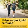 Glucosamine Chondroitin Complex + MSM Triple Strength + Vitamin D3 120 viên : Nature Made