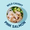 Cá hồi hồng hoang dã Pink Salmon: Wild Planet 1 gói lẻ 85g