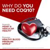 Coenzyme Q10 (CoQ10) bán chạy nhất thế giới : Qunol 100mg - 200mg