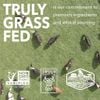 Milk Protein Isolate chứng nhận Truly Grass-Fed 454g 18 lần dùng : ICONIC