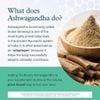 [CHÍNH HÃNG WEB] 1000mg KSM-66 Ashwagandha + 100mg GABA & Ginger 60 viên : Youtheory