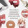 Gói SAMPLE Mitopure (Urolithin A) chống lão hoá tốt nhất thế giới chứng nhận Clean Label Project : Timeline