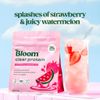 Clear Protein Whey Protein Isolate + Collagen Peptides : Bloom bổ sung đạm trái cây