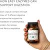 Digestive Enzymes tiêu hoá tốt nhất thế giới Truvani : 9 loại Enzymes kết hợp